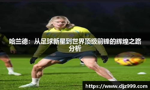 yy易游